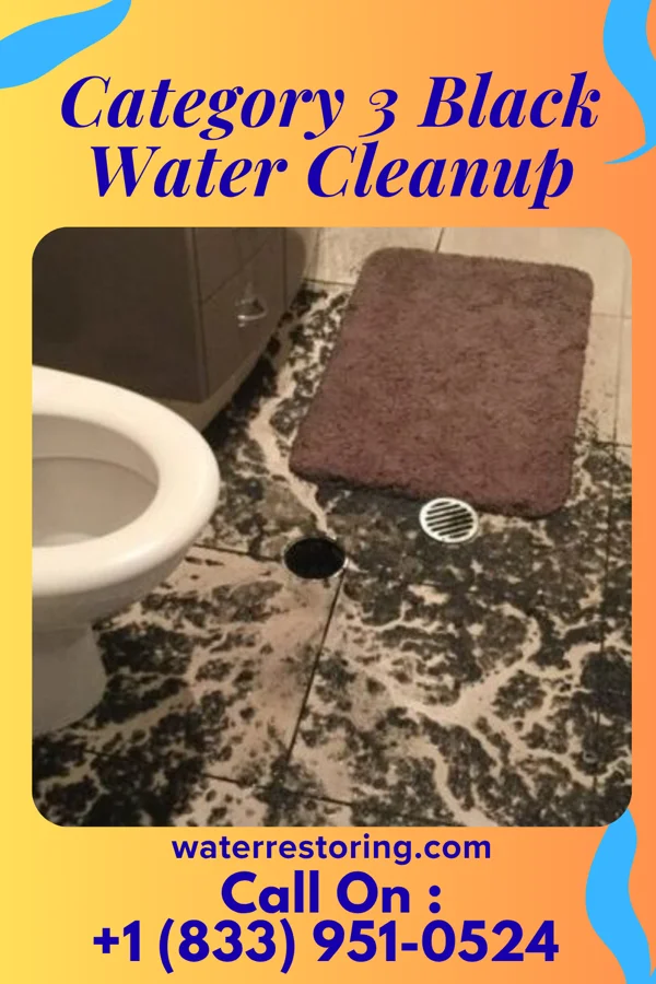 Category 3 Black Water Cleanup in Smithfield, VA