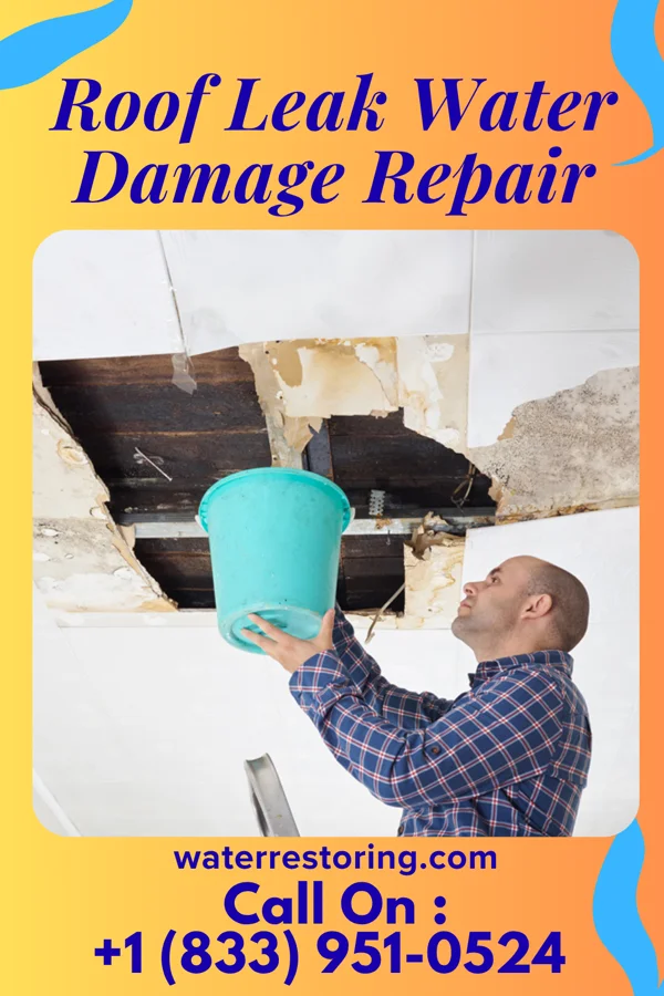 Roof Leak Water Damage Repair in Smithfield, VA
