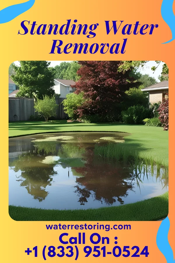 Standing Water Removal in Smithfield, VA